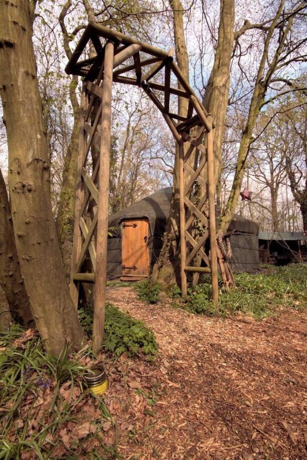 Magical Forest Yurt Sturry 외부 사진