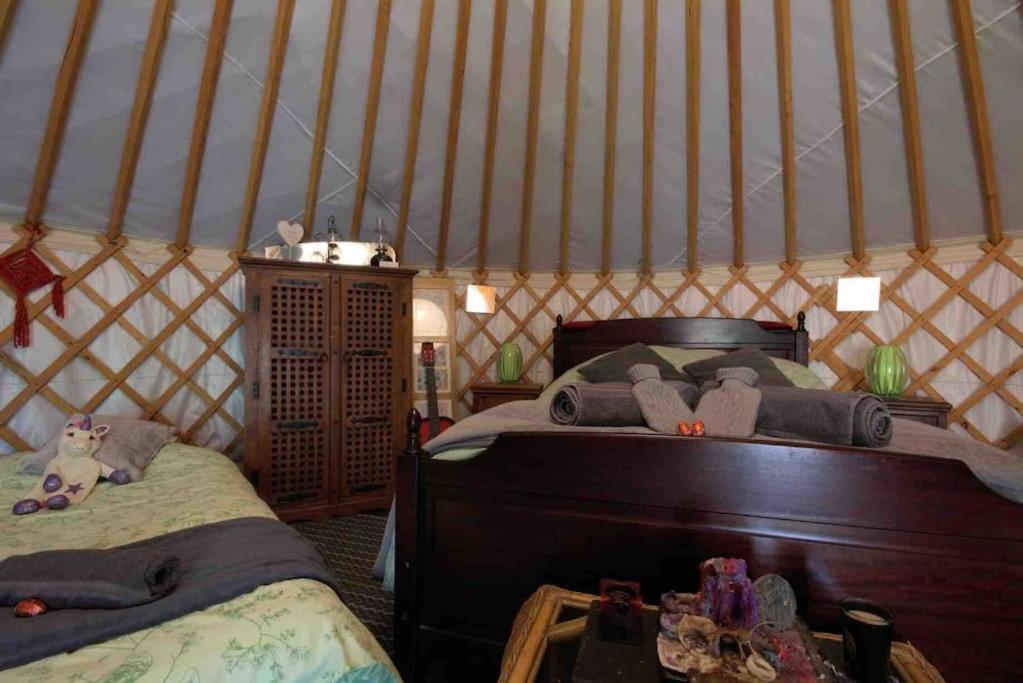 Magical Forest Yurt Sturry 외부 사진