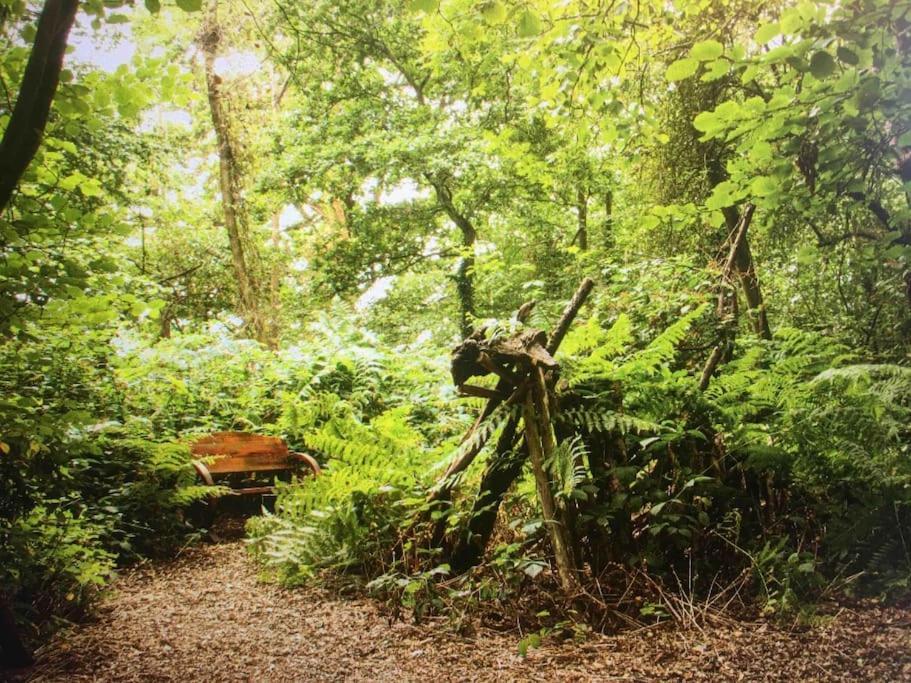Magical Forest Yurt Sturry 외부 사진