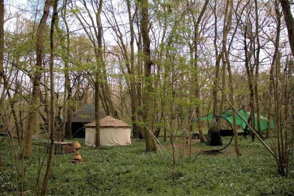Magical Forest Yurt Sturry 외부 사진