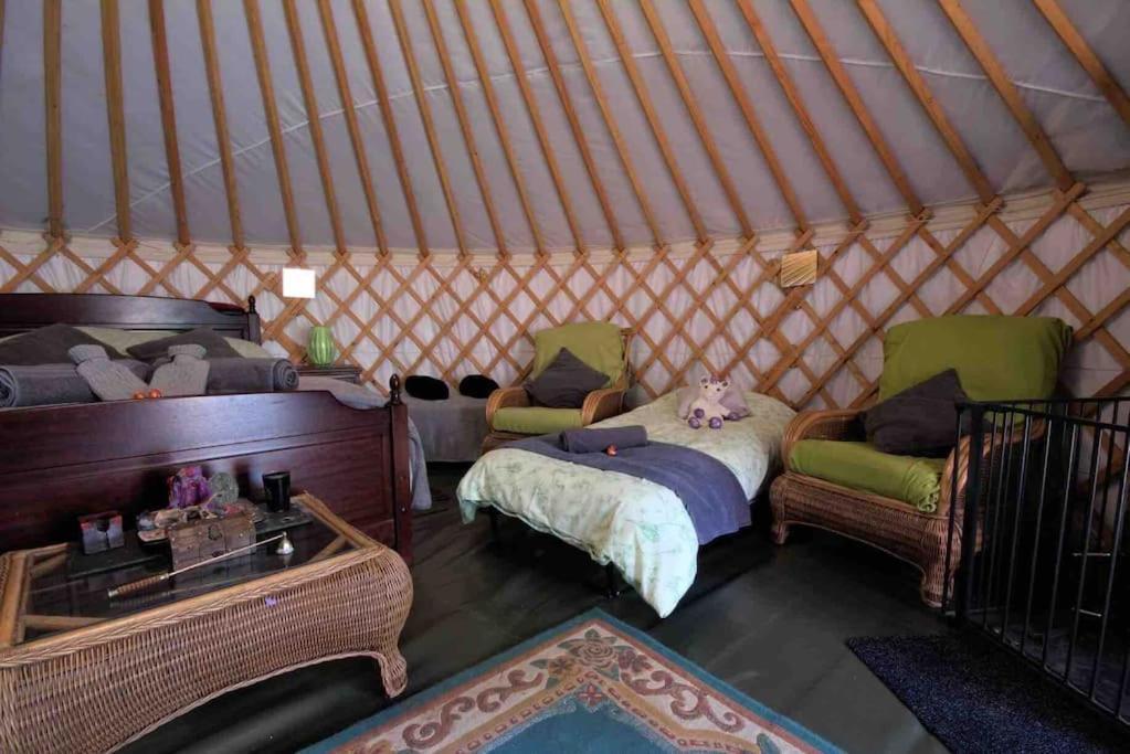 Magical Forest Yurt Sturry 외부 사진